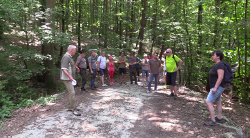 Radní zkontrolovali stav lesa