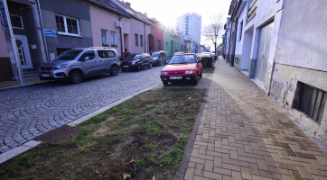 Město vysadí nové stromy ve dvou ulicích