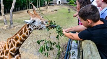 Zlínská zoo rozjíždí projekt na podporu zvířat v ukrajinských zoologických zahradách