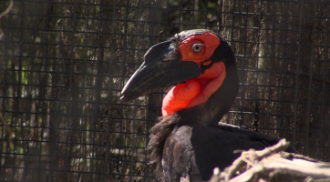 Zlínská zoo otevřela nové expozice