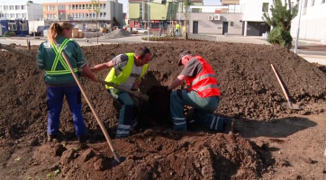 Během jara přibyla ve městě spousta zeleně