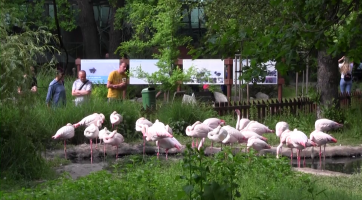 V hodonínské zoo oslavovali přírodní rozmanitost