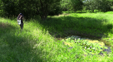 Na Boršovských loukách vyrostla naučná stezka