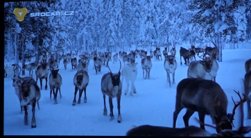 Snow Film Fest doplnil přednáškou Miroslav Náplava