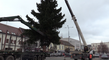 Na Masarykově náměstí už stojí vánoční strom