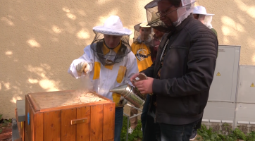 Studenti gymnázia letos vytočili přes 43 kilogramů medu od svých třech včelstev