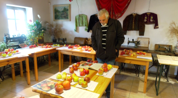Výstava jablek a hrušek přilákala do Ostrožské Nové Vsi spousty návštěvníků