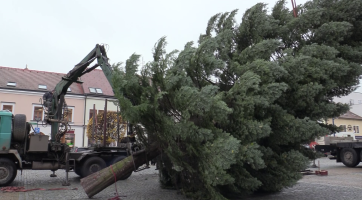 Na náměstí v Kyjově jsou letos dva vánoční stromy