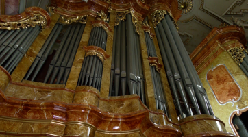 Sbírka na nové varhany v kostele svatého Františka Xaverského 