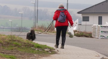 V Uherském Brodě se blíží termín uhrazení poplatků za psy