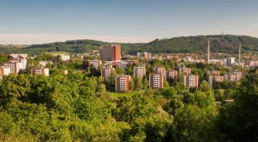 Zlínská radnice pokračuje v revitalizaci městské zeleně. Pokácené stromy nahrazují nové