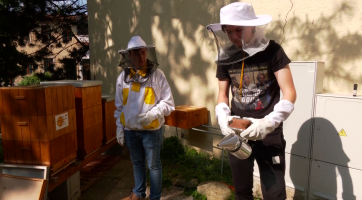 Mezi včelaře rozdělí kraj o 200 tisíc víc než loni