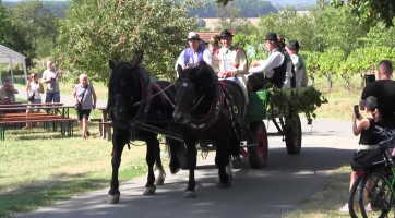 Ve Strážnici zaráželi horu