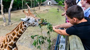 Vstupné do zlínské zoo bude každý pátek v září a říjnu jen za 100 korun