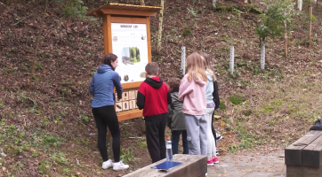 V Lesoparku Kalvárie najdete novou naučnou stezku 