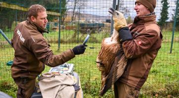 Zlínská zoo patří k nejúspěšnějším chovatelům supů na světě