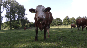 Magazín Zlínský kraj 4. 10. 2025