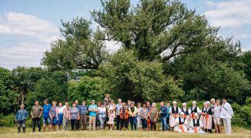 Hruška na Radovách z Uherského Hradiště je druhým nejoblíbenějším stromem v Česku