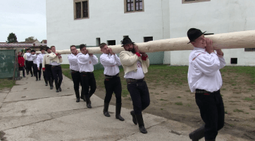 Na hody v Uherském Ostrohu letos dohlížela 24 metrů vysoká májka