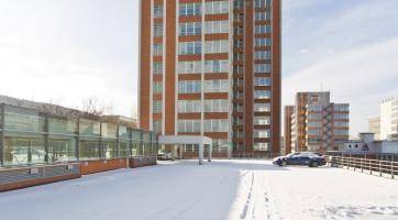 Baťův mrakodrap bude mít poprvé v historii svůj vlastní vánoční strom