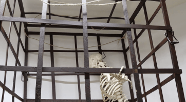 V muzeu ve Veselí si můžete vyzkoušet pranýř nebo kládu