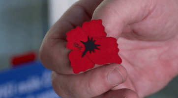 Přijďte si pro vlčí mák – Uherský Brod se připojuje k akci pro válečné veterány