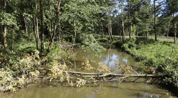 V Domě přírody Bílých Karpat se představila CHKO Soutok
