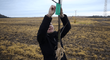 V kyjovské Aleji života přibyly další stromy