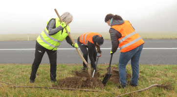 Zaměstnanci kraje a Continental Barum sázeli stromy