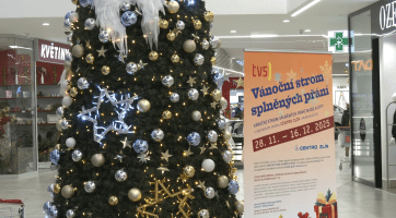 Strom splněných přání se rozsvítil, radost dělá především dětem