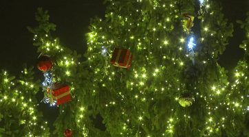 Vánoční strom osvětlil Masarykovo náměstí v Kyjově