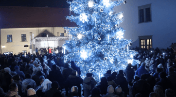 Místní věří, že jejich vánoční strom bude nejhezčí v republice