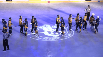 Dorost Vsetína porazil Berany Zlín 6:2 