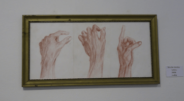 V městské galerii vystavuje mladý výtvarník ze Strážnice