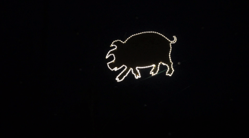 Nad koštem zelňaček proběhlo zlaté prasátko