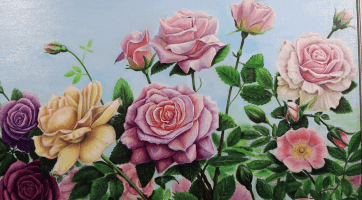 Galerie Vednevnoci je plná barevných květin