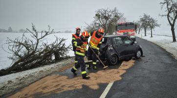 Dopravní nehoda na Kroměřížsku: Řidič sjel ze silnice a naboural do stromu, ten se silným nárazem zlomil