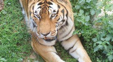 Foto: Zoo Hodonín