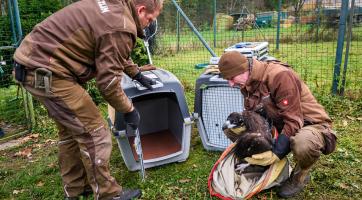 ​​​​​​​Foto: Zoo Zlín