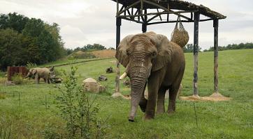  Foto: Archiv Zoo Zlín