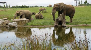  Foto: Archiv Zoo Zlín