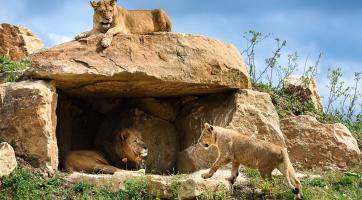 Foto: Zoo Zlín