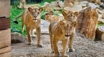 Foto: Zoo Zlín