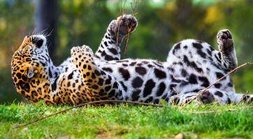 Foto: Zoo Zlín