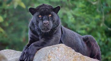 Foto: Zoo Zlín