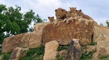 Foto: Zoo Zlín