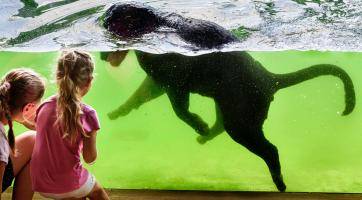 Foto: Zoo Zlín