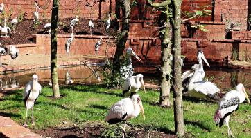 Foto: Archiv Zoo Zlín