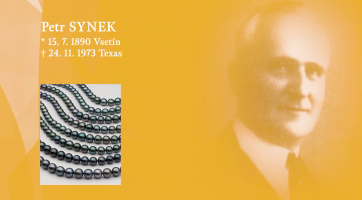 Petr Synek