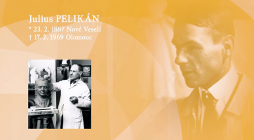 Julius Pelikán